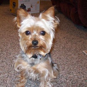 Meet your Posher, Gregg